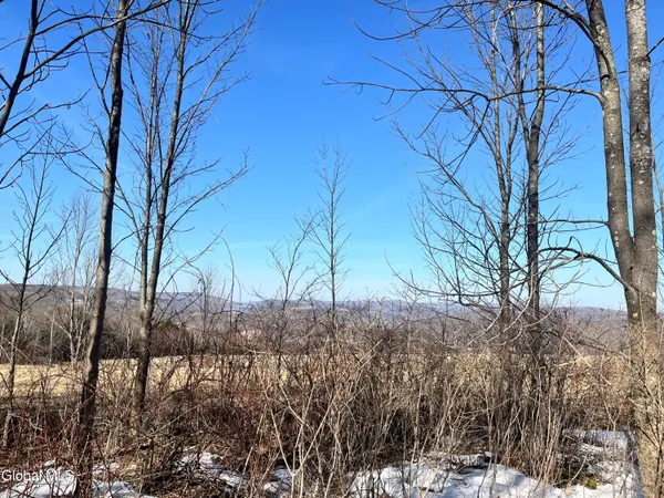 $32,000 | 0 Cross Hill Road, Richmondville, NY 12149