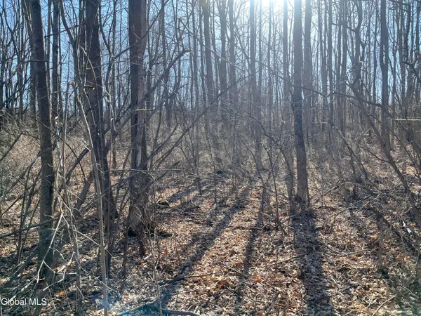 $32,000 | 0 Cross Hill Road, Richmondville, NY 12149