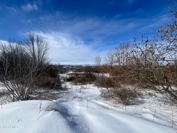 $32,000 | 0 Cross Hill Road, Richmondville, NY 12149