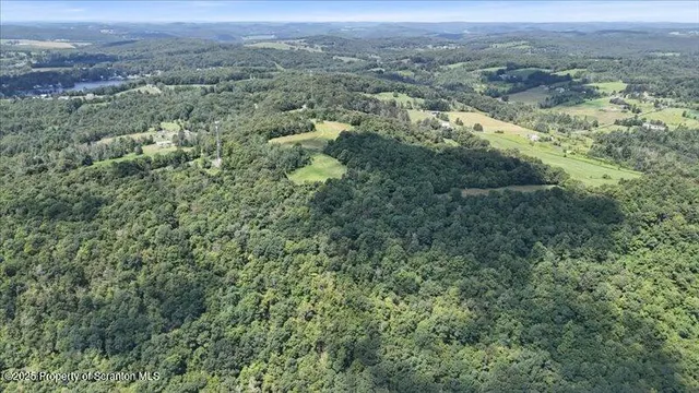 an aerial view of forest