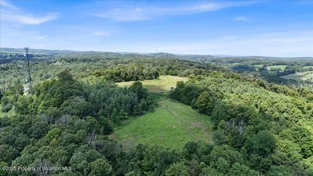 a view of a big yard with lots of green space