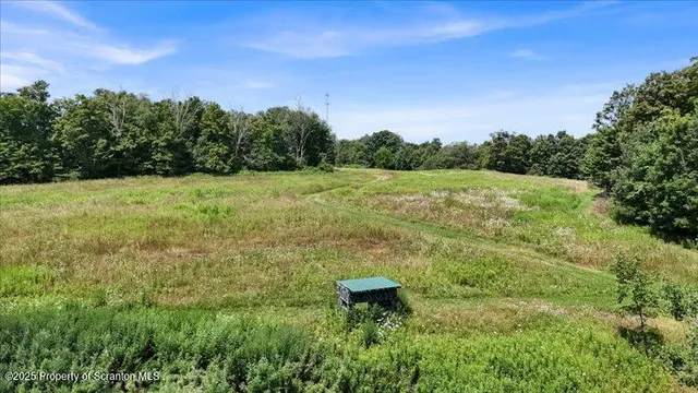 a view of a big yard with lots of green space and fog