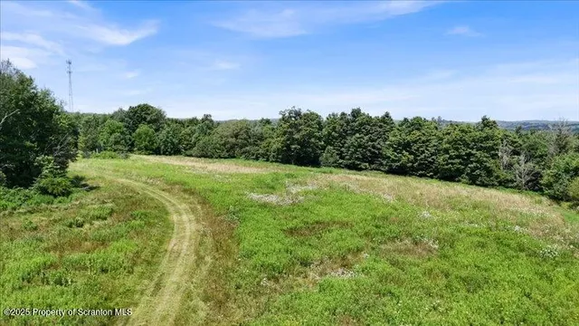 a view of a big yard with green space