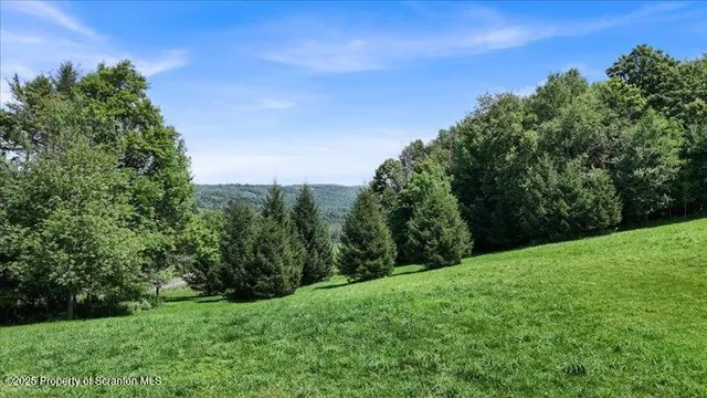 a view of a green field with lots of bushes