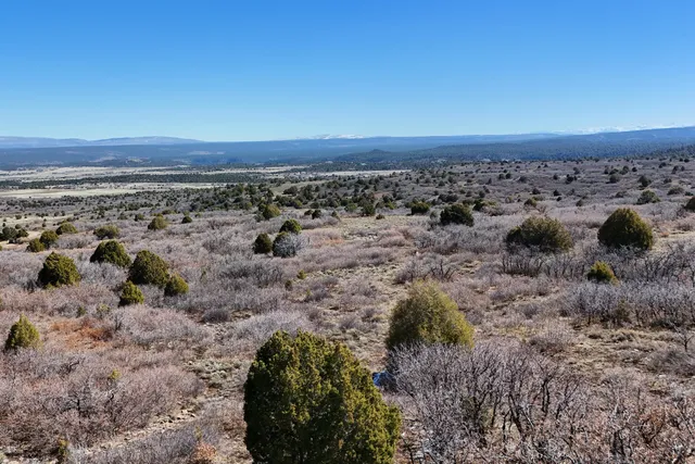 $189,000 | 9 North Gurley Reserve, Norwood, CO 81423