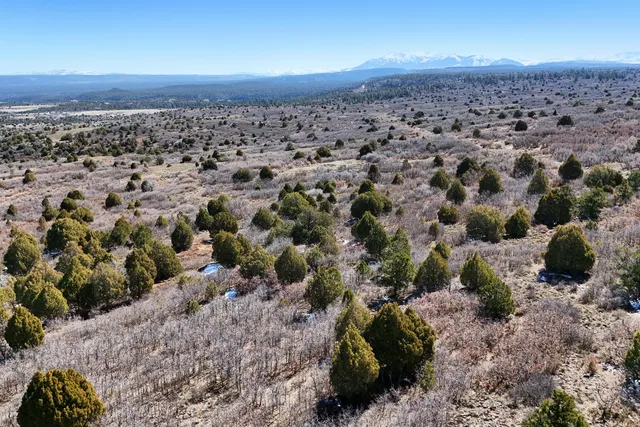 $189,000 | 9 North Gurley Reserve, Norwood, CO 81423