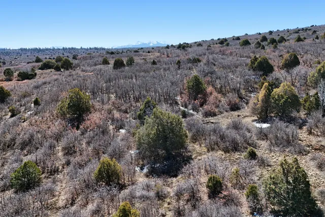 $189,000 | 9 North Gurley Reserve, Norwood, CO 81423