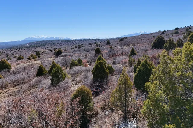 $189,000 | 9 North Gurley Reserve, Norwood, CO 81423