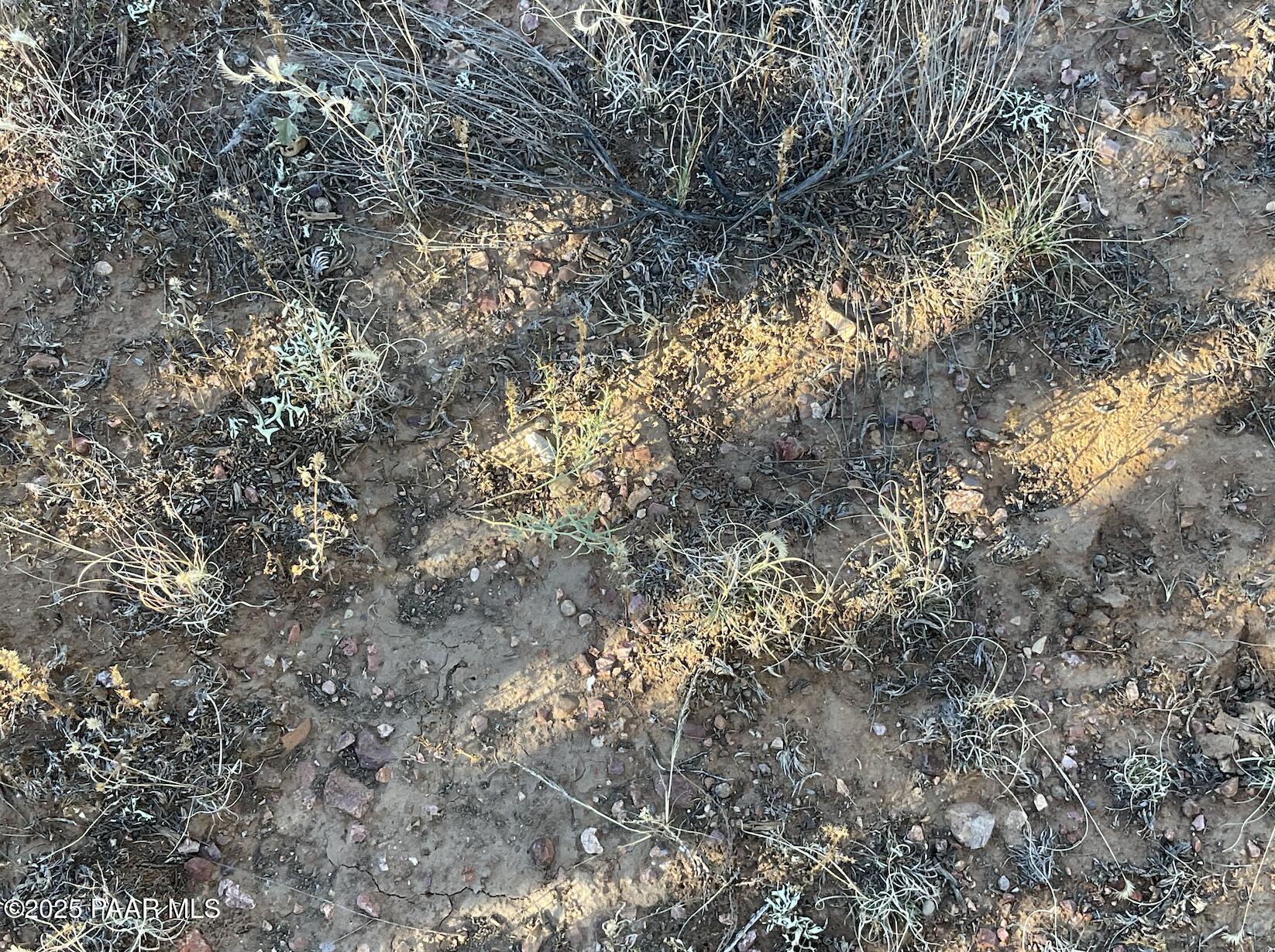 886 Southeast Cable Road Williams, AZ 86046 - Photo 17 of 19 Screenshot 2025-12-19 at 12.04.43PM