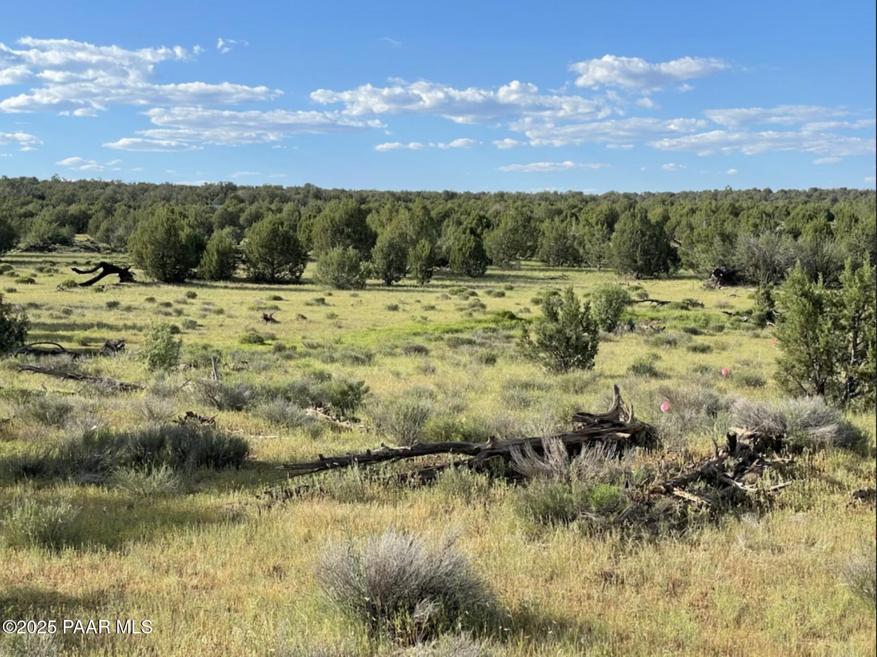886 Southeast Cable Road Williams, AZ 86046 - Photo 2 of 19 Screenshot 2025-12-19 at 12.02.15PM