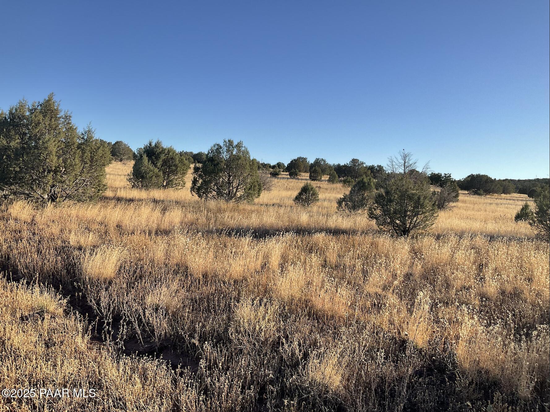 886 Southeast Cable Road Williams, AZ 86046 - Photo 8 of 19 Screenshot 2025-12-19 at 12.03.19PM