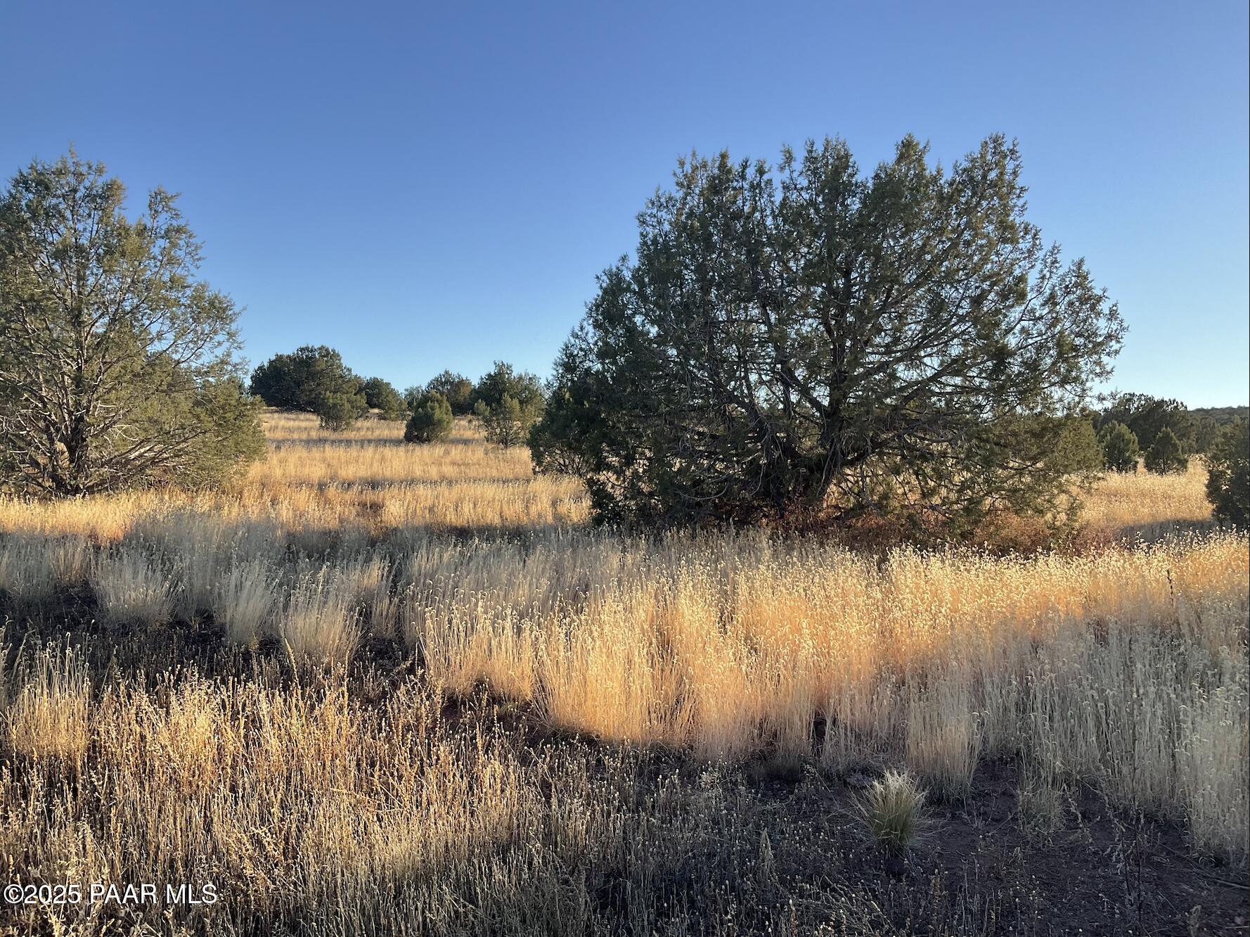 886 Southeast Cable Road Williams, AZ 86046 - Photo 9 of 19 Screenshot 2025-12-19 at 12.03.26PM