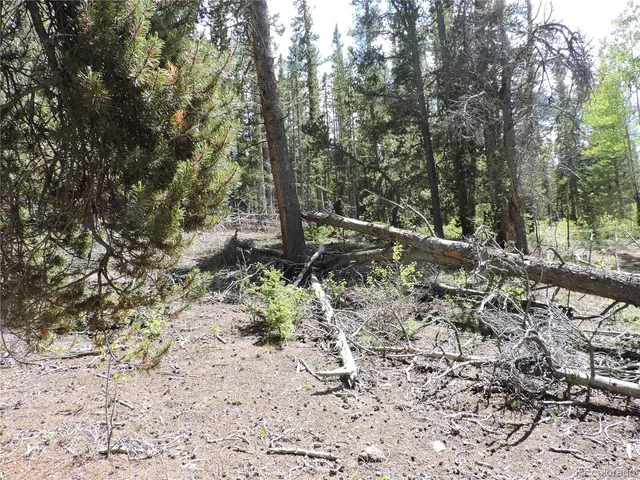a backyard of a house with lots of trees