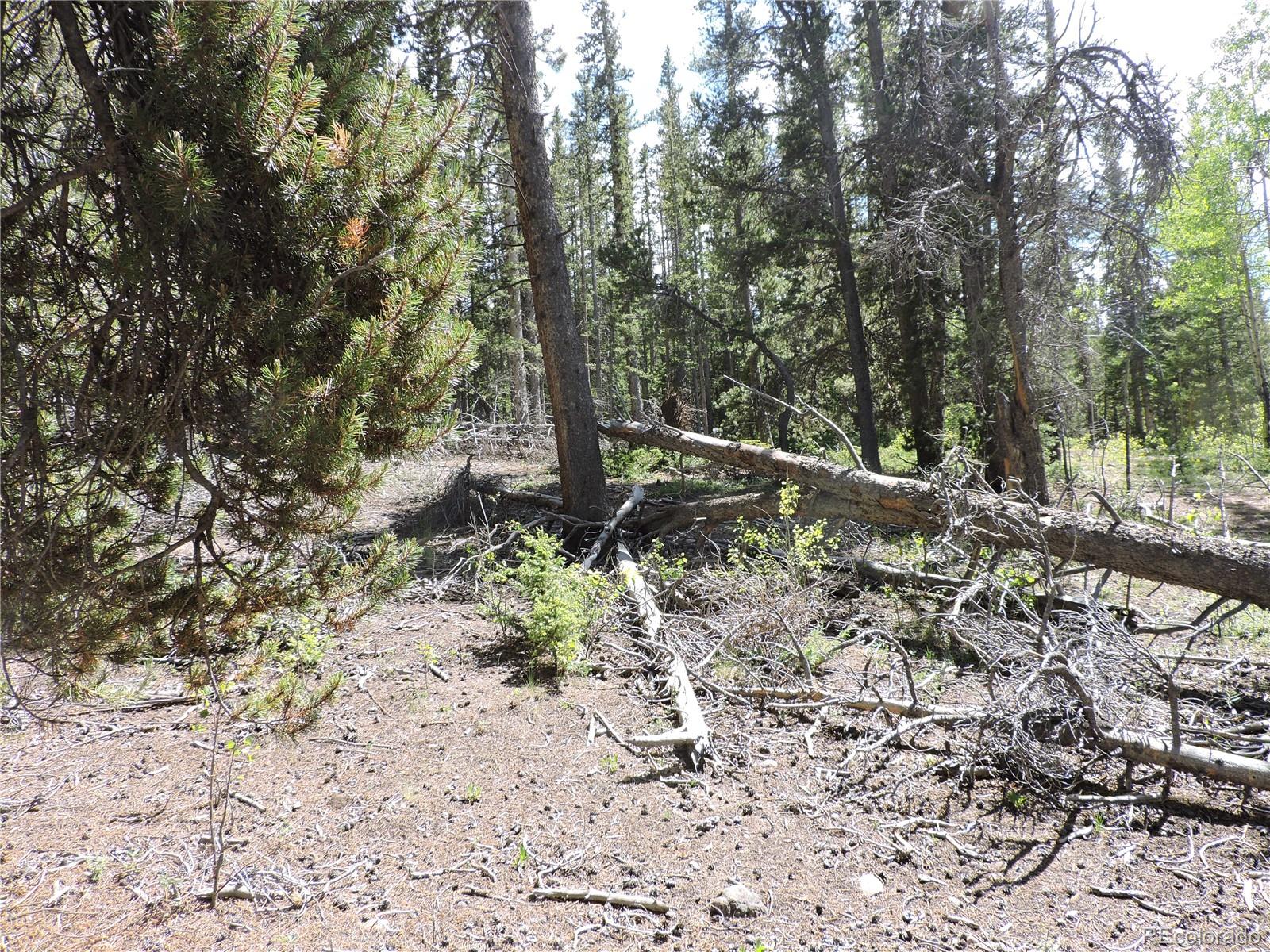 0 Georgia Pass Lookout Road Jefferson, CO 80456 - Photo 11 of 13 a backyard of a house with lots of trees