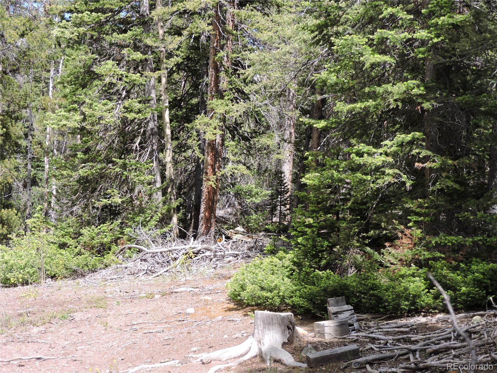 0 Georgia Pass Lookout Road Jefferson, CO 80456 - Photo 2 of 13 a view of a wooden floor and a tree
