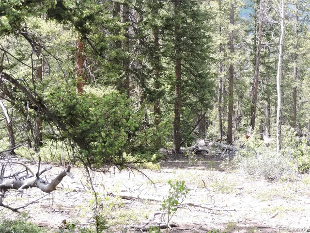 a view of a yard covered in snow