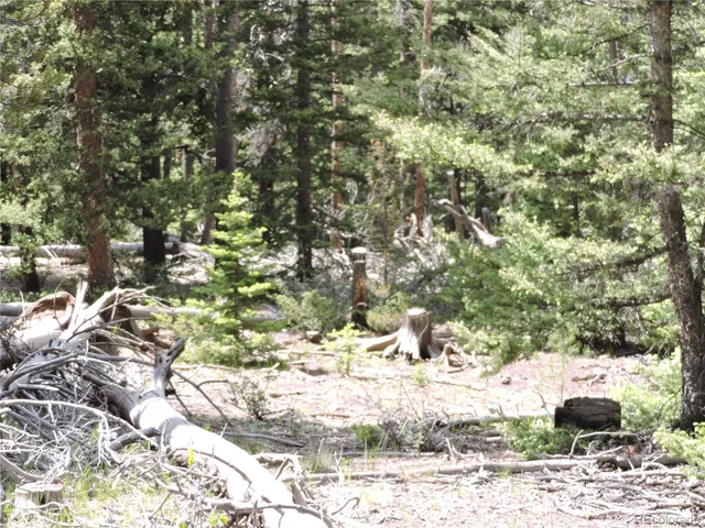 a view of a backyard of the house