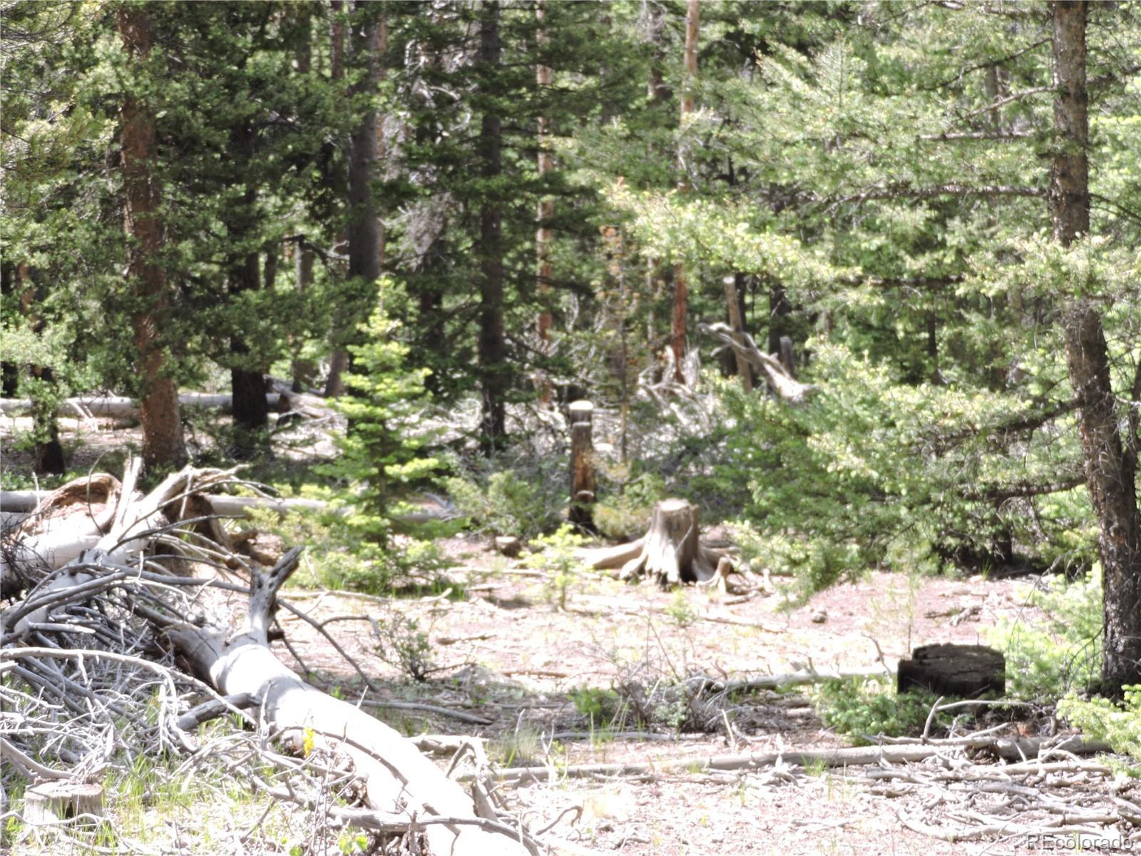0 Georgia Pass Lookout Road Jefferson, CO 80456 - Photo 6 of 13 a view of a backyard of the house