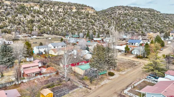 a view of a yard with plants and trees