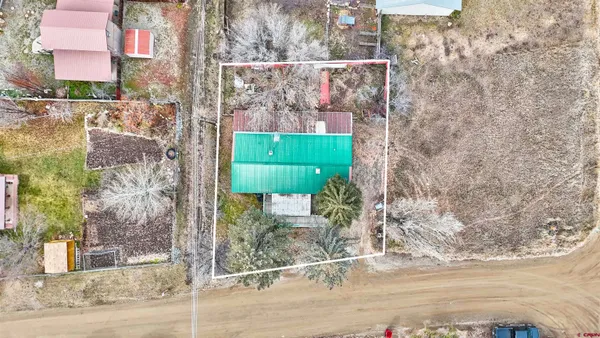 a view of a yard with plants and trees