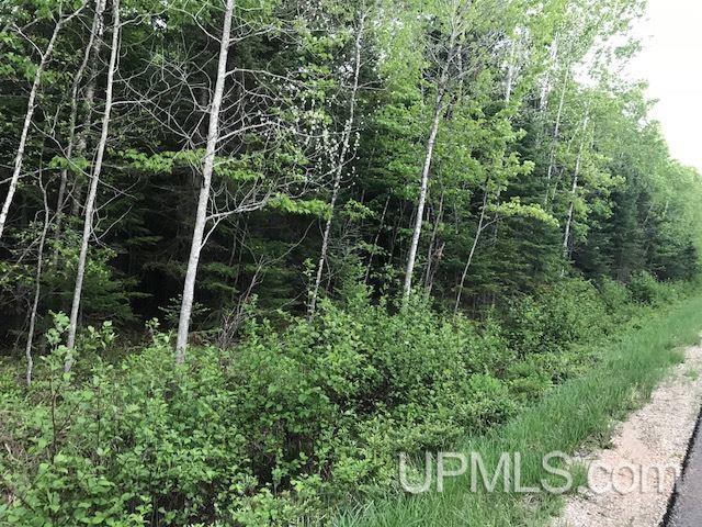 Tbd 25th Road Gladstone, MI 49837 - Photo 2 of 5