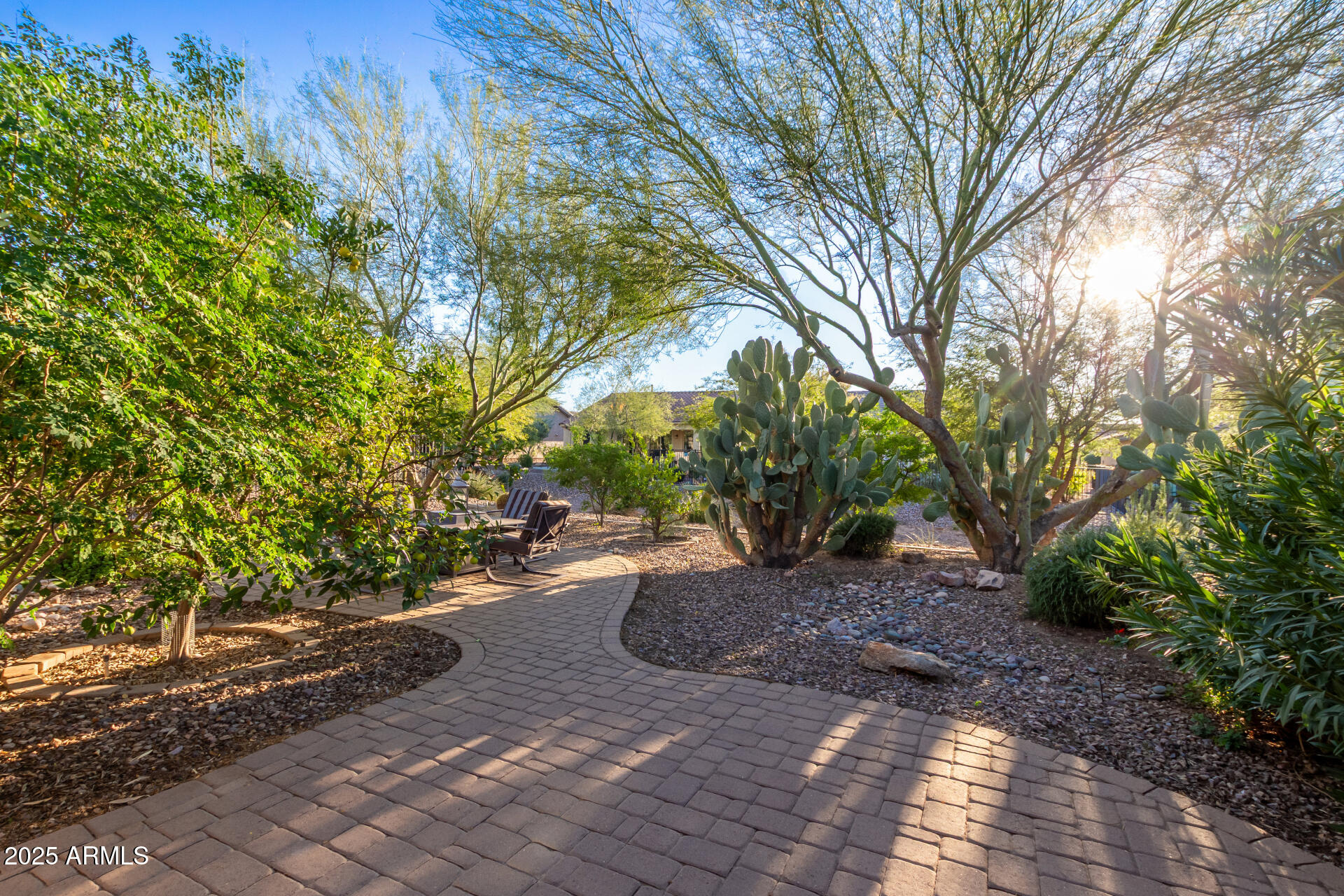 6573 West Mockingbird Way Florence, AZ 85132 - Photo 1 of 36 a view of a street with a tree