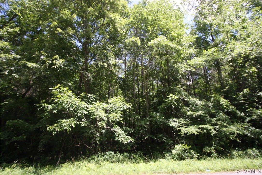 10817 Baltimore Road Ford, VA 23850 - Photo 8 of 10