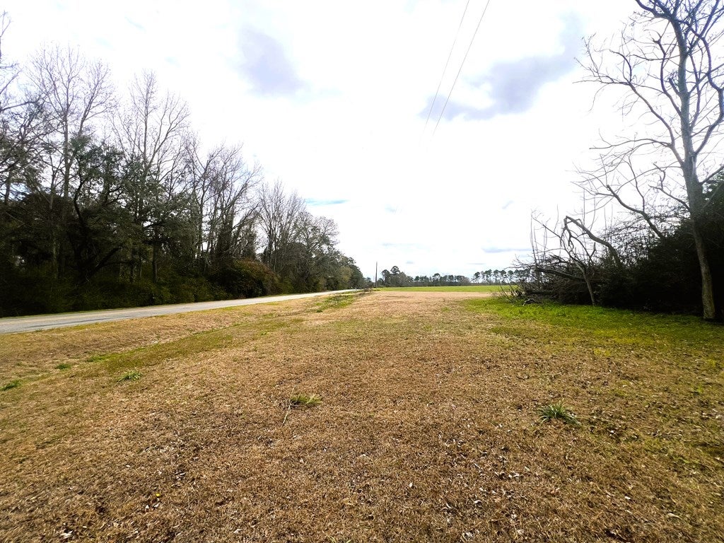 3.97-acr Beaty Road Pavo, GA 31778 - Photo 18 of 37 Gallery Image 18