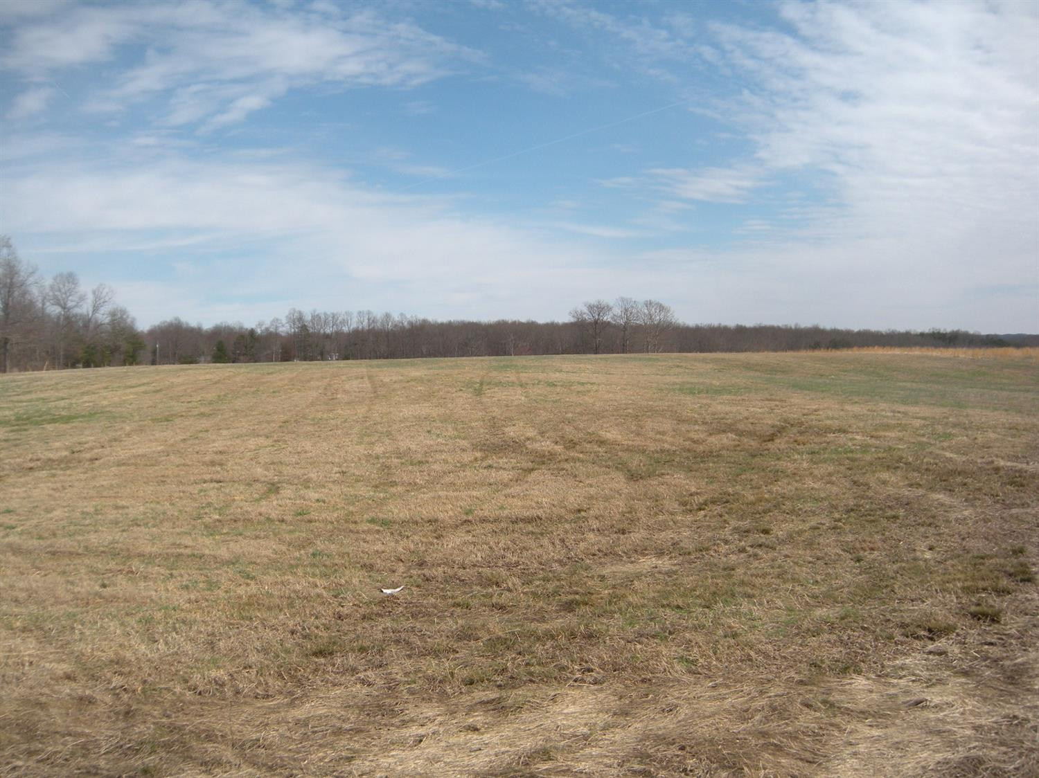 111111 Adams Road Owingsville, KY 40360 - Photo 4 of 5 Photo 4