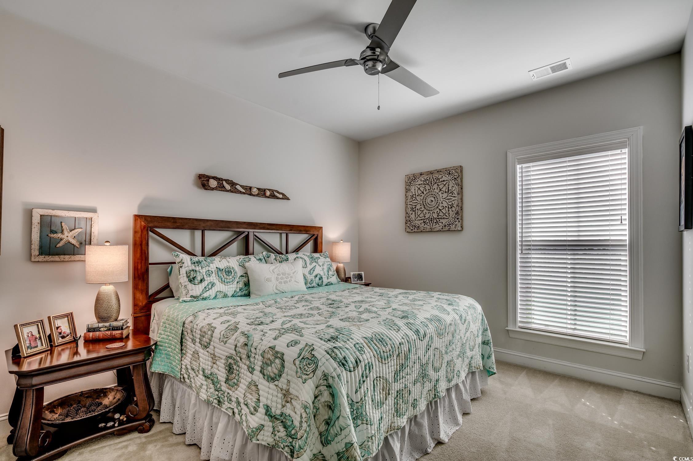 253 Splendor Circle Murrells Inlet, SC 29576 - Photo 29 of 40