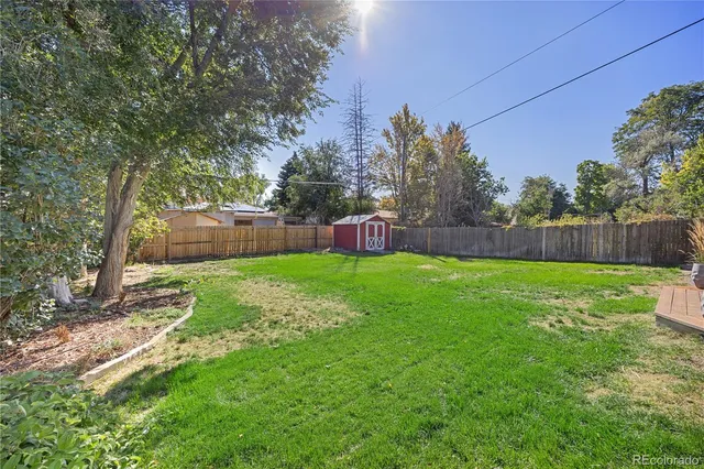 a view of yard with trees in the background
