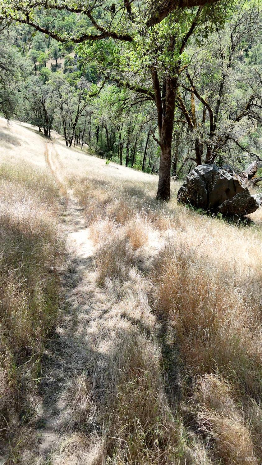 35000 Mendocino Pass Road Covelo, CA 95428 - Photo 12 of 26 a view of outdoor space with trees