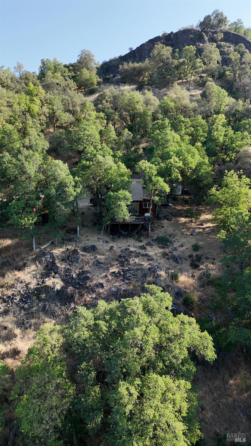 35000 Mendocino Pass Road Covelo, CA 95428 - Photo 23 of 26 a view of a lush green forest with lots of trees