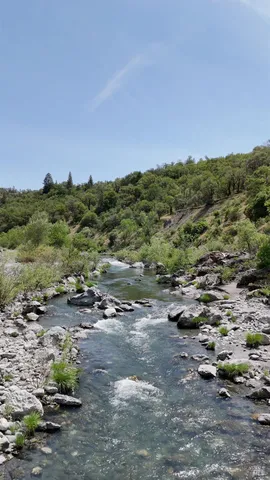 a view of a forest with a street