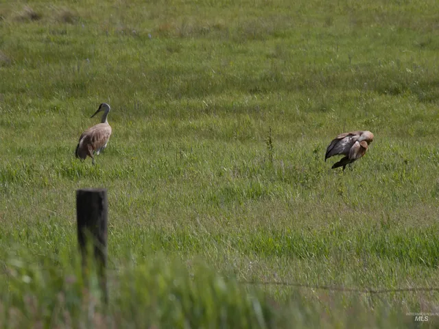 $105,000 | 9 Blk Whitewater Way, Garden Valley, ID 83622