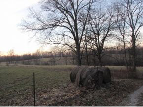 93-acres On Neill Road Bloomfield, IN 47424 - Photo 2 of 3