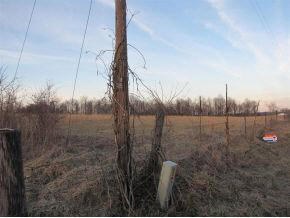 93-acres On Neill Road Bloomfield, IN 47424 - Photo 3 of 3