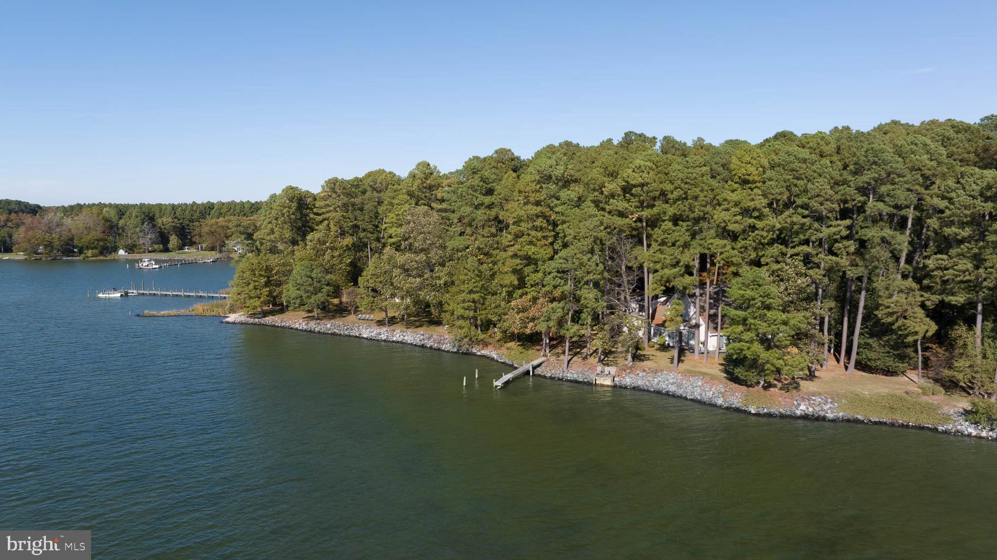 a view of a lake with a mountain in the background