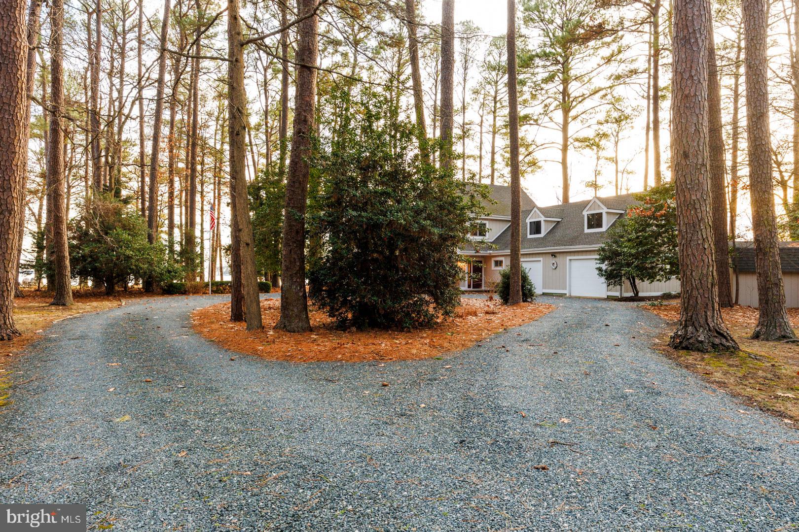 7930 Church Neck Road St. Michaels, MD 21663 - Photo 10 of 41 a view of a street with trees on both side