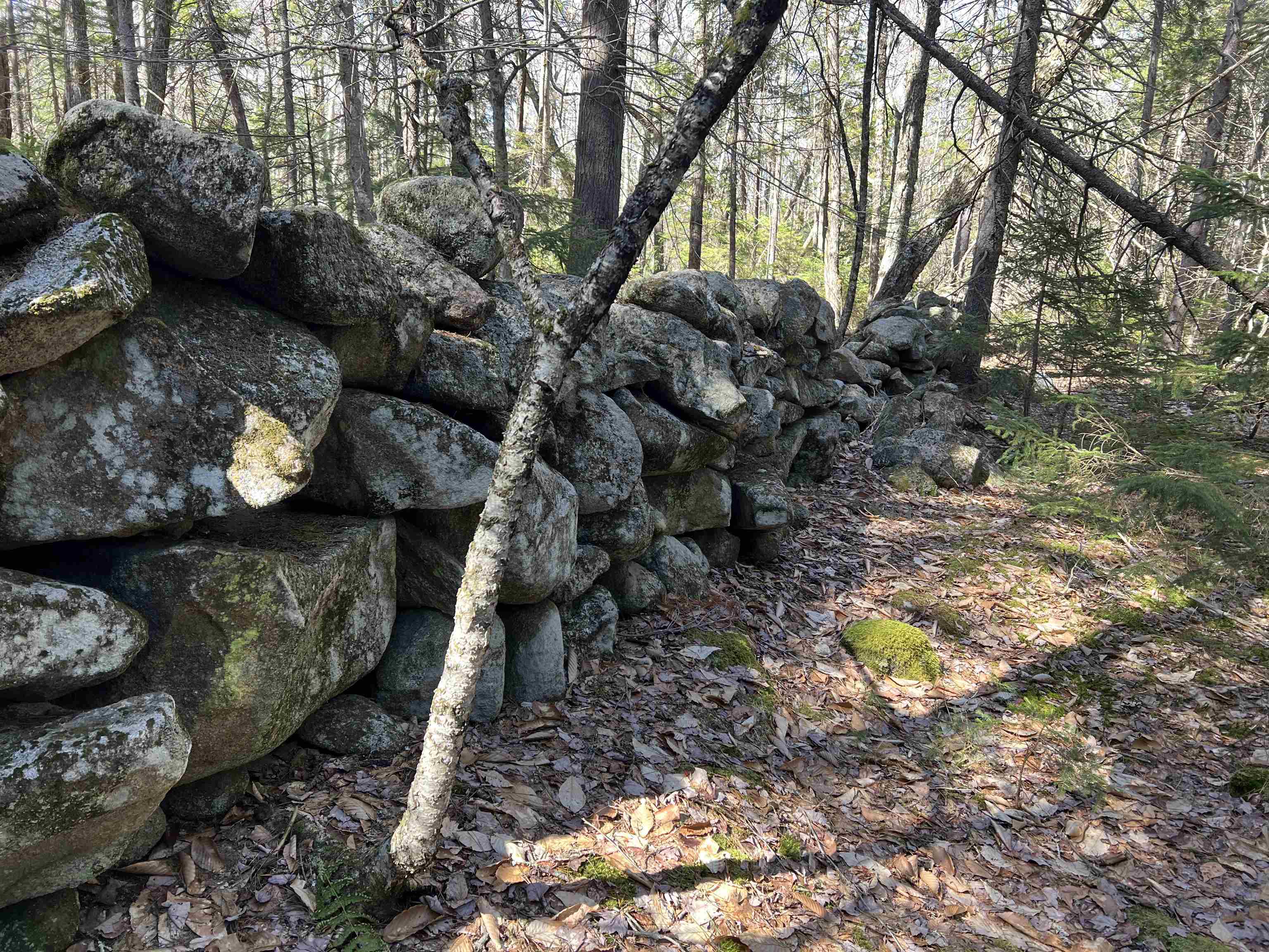 0 Sargent Road, Unit 4 New London, NH 03257 - Photo 4 of 8