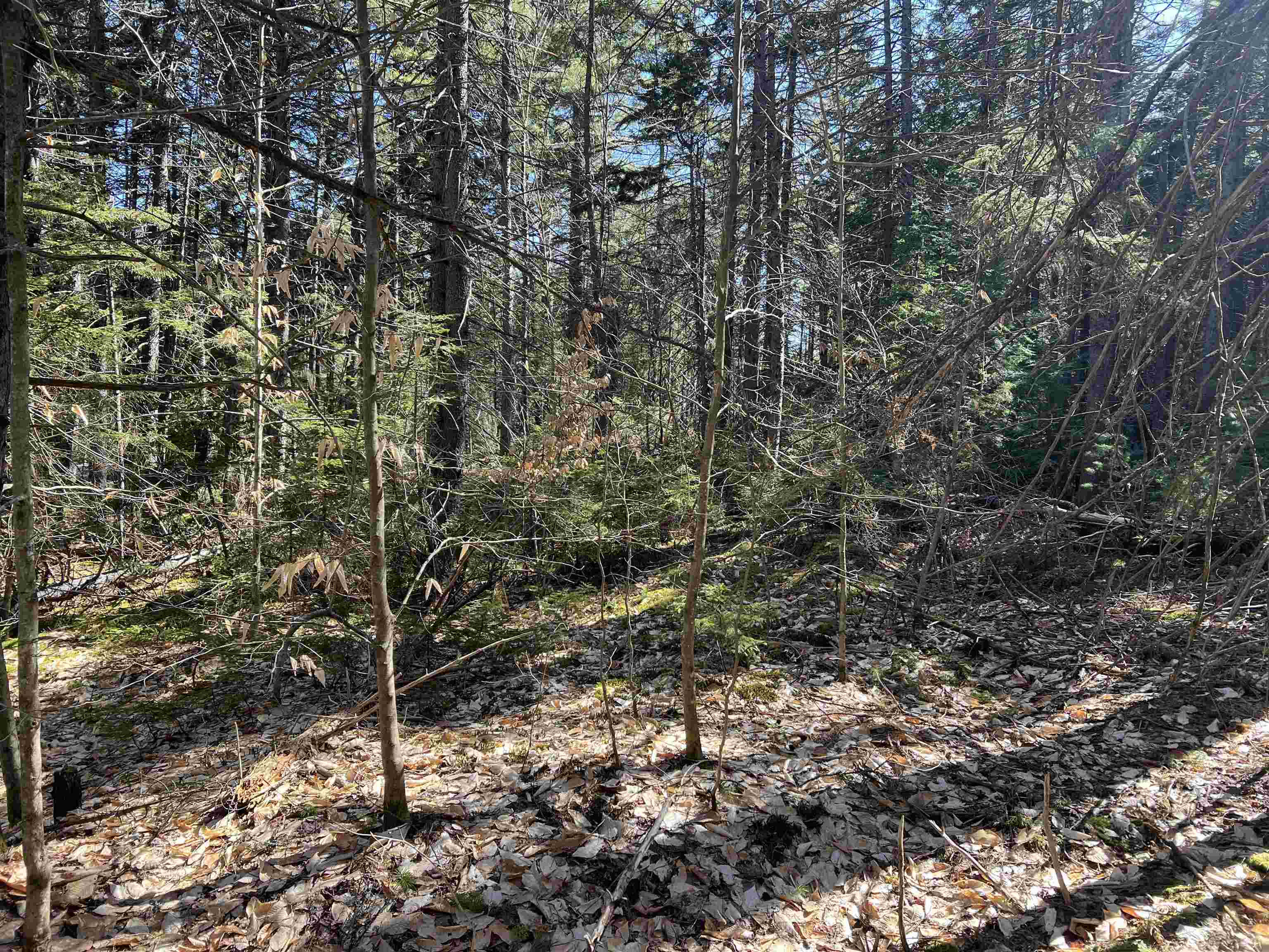 0 Sargent Road, Unit 4 New London, NH 03257 - Photo 7 of 8