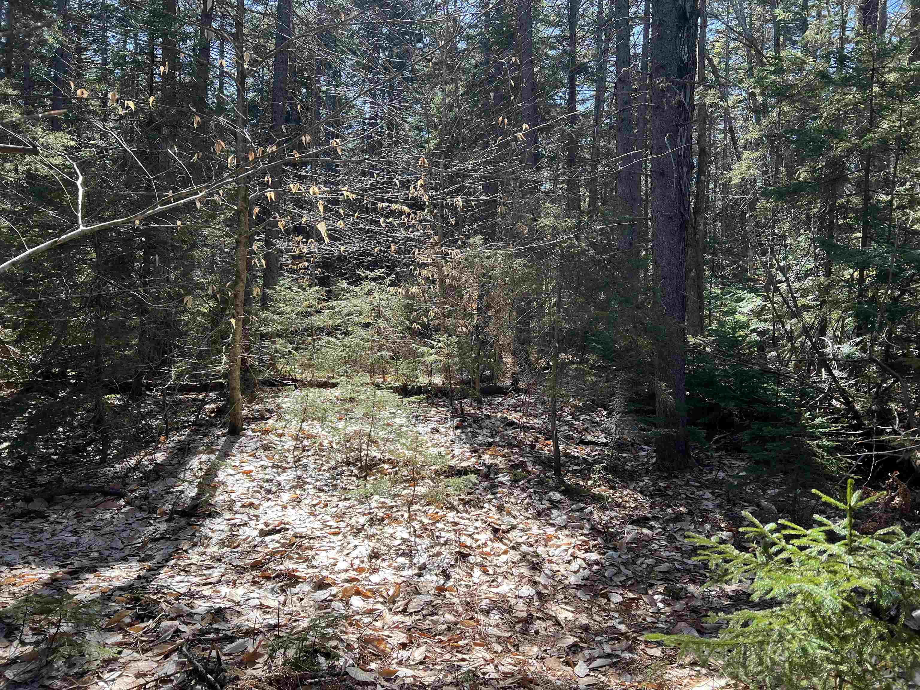 0 Sargent Road, Unit 4 New London, NH 03257 - Photo 8 of 8