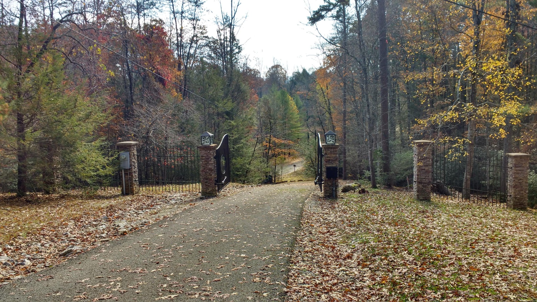 8 Pond Ridge Road Tellico Plains, TN 37385 - Photo 1 of 9 Gallery Image 1