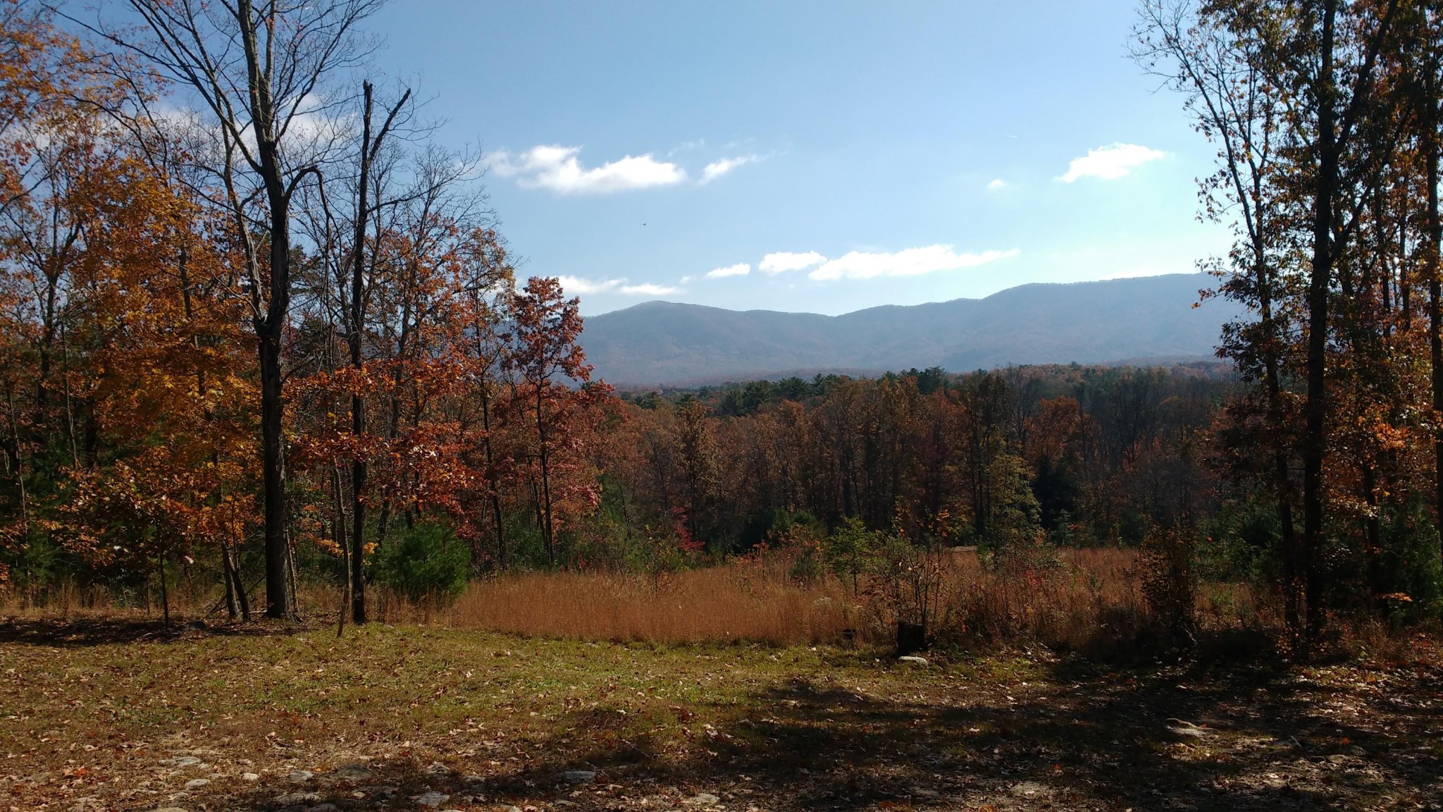 8 Pond Ridge Road Tellico Plains, TN 37385 - Photo 5 of 9 Gallery Image 5