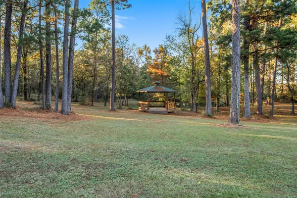 a view of a park with large trees