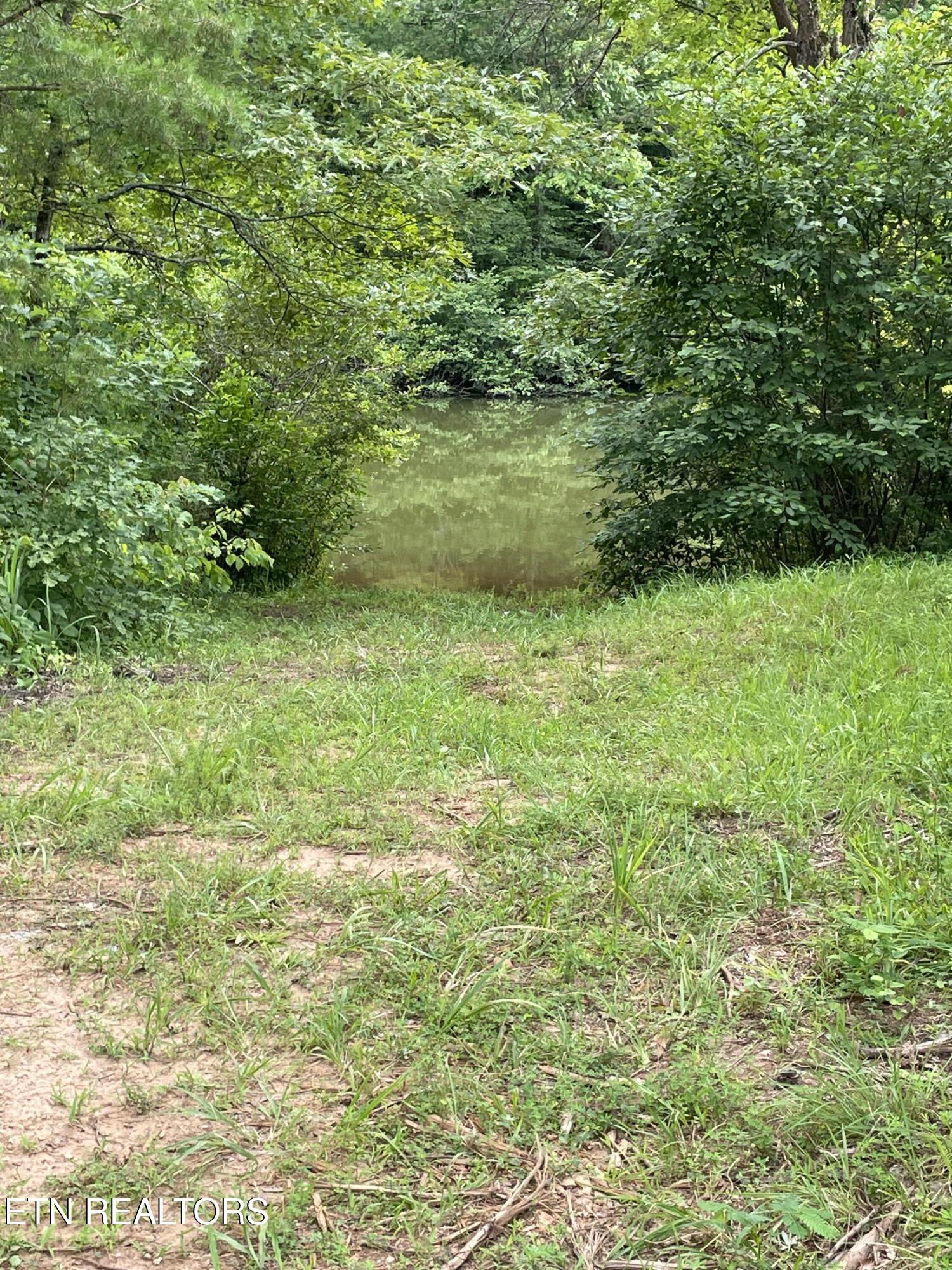 Millsaps Road Vonore, TN 37885 - Photo 17 of 18 IMG_1814