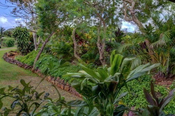 6310 Olohena Road, Unit 1 Kapaa, HI 96746 - Photo 17 of 21 Gallery Image 17