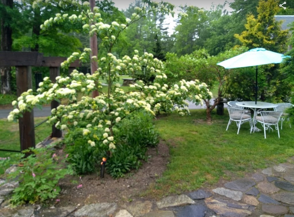 2260 Flat Rock Road Athol, MA 01331 - Photo 31 of 35 a backyard of a house with a yard and outdoor seating