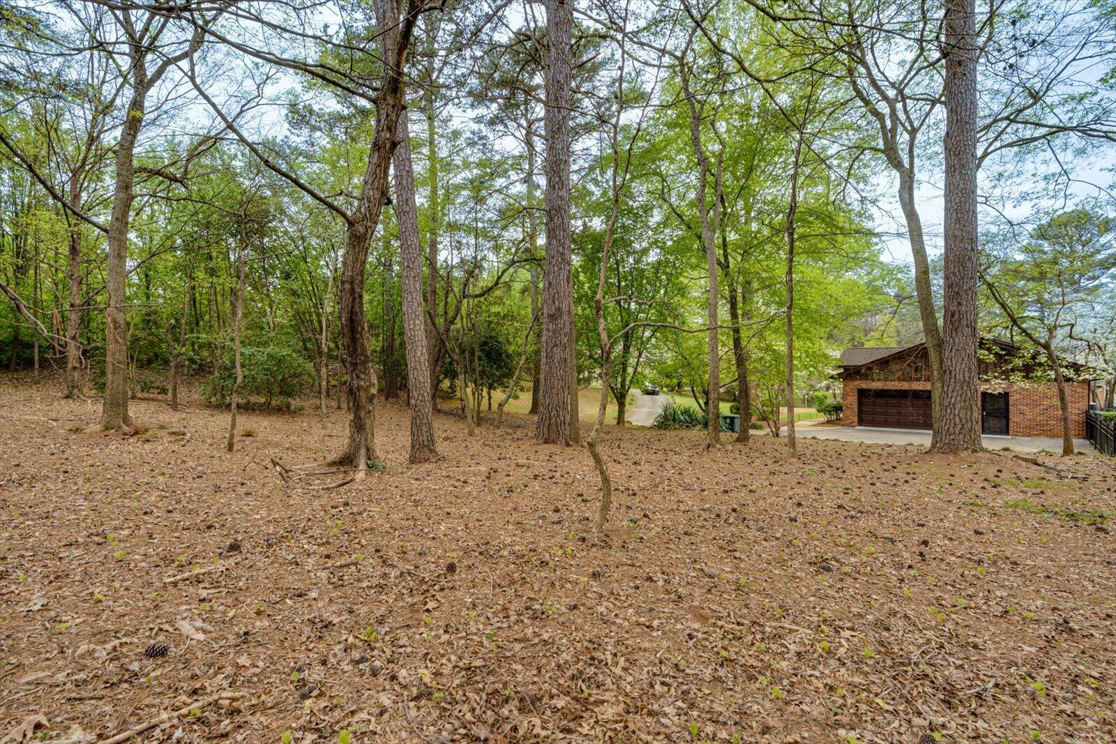 6911 Franks Road Chattanooga, TN 37421 - Photo 54 of 63 44-6911 Franks Rd-44