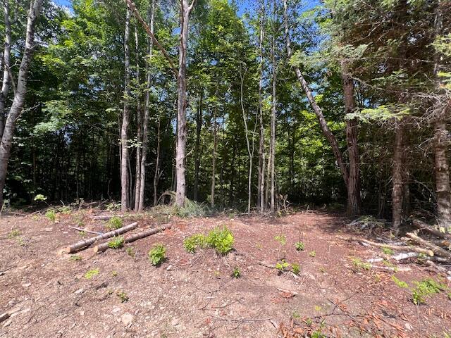 Lot 29.3 Cone Road Amity, ME 04471 - Photo 3 of 20 IMG_6266